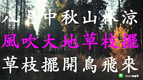 風吹草枝擺|闽南话的“草枝摆”是什么意思啊？！